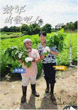 90影院奔跑吧